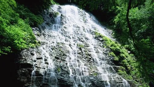 高性能高端高标准